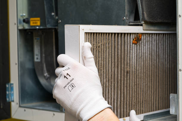 Best HVAC Duct Inspection Services  in Alexandria, LA